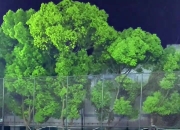 爱游戏体育-包含创意战术获得胜果，亚洲球队足球魅力无限的词条